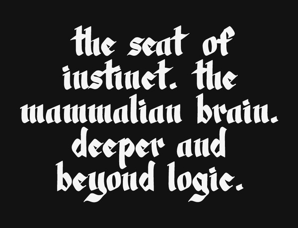 Brian Okarski, Archives 2009 – 2012 #type #lettering #rotunda