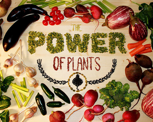 The Power of Plants Booklet on Behance