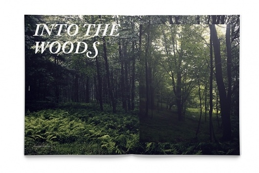Fallzine - DLA #zine #woods #fallzine #nature #photography #seasonzine #trees #typography