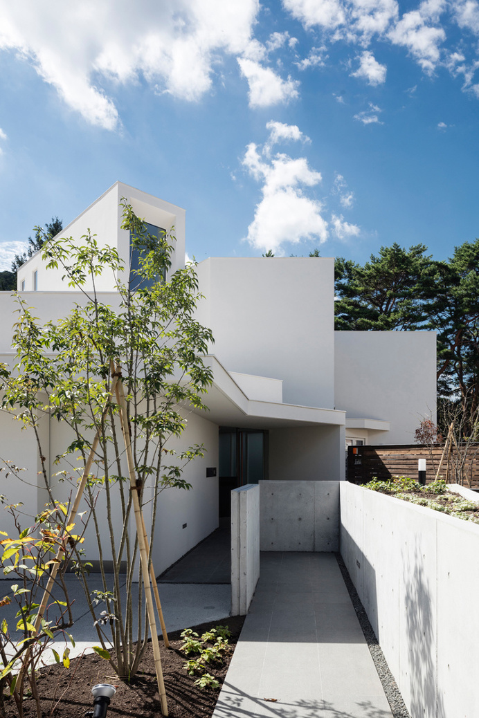 Double Angle House
