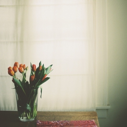 feels like spring | Flickr - Photo Sharing! #still #photography #life #film