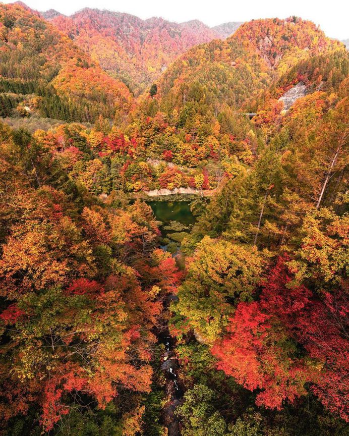 Colorful Autumn in Japan: Landscape Photography by Daisuke Uematsu