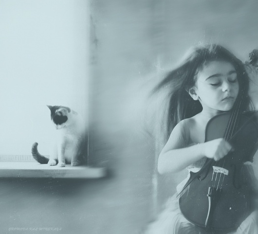 500px / Photo #violin #portrait