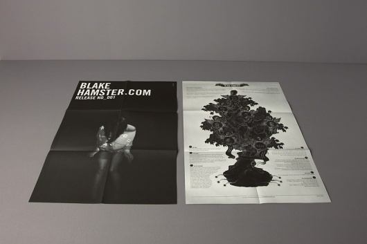 Blake Hamster. Marken- und Produktentwicklung #design #paper #poster