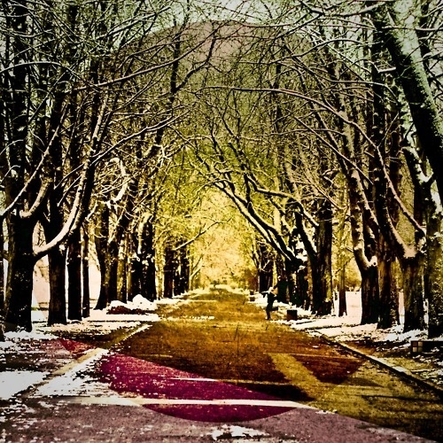 |)E$1GN - ²°'' #photo #snow #leipzig #park #vintage #2010 #jump #winter