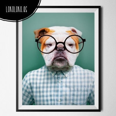 #animals #clothe #fashion #hipster #dog #poster