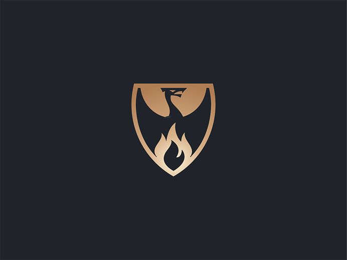 Dragon shield
