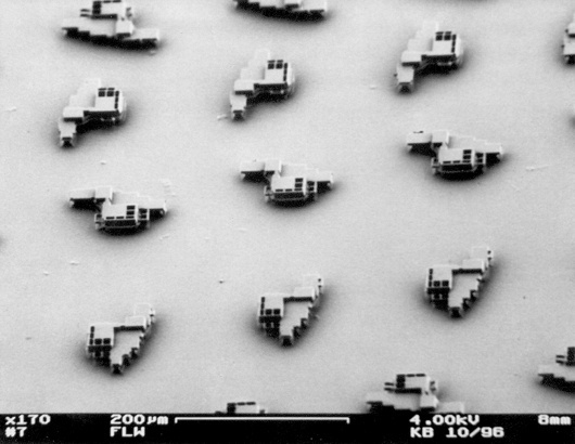 Google Image Result for http://www.ieor.berkeley.edu/~goldberg/flw/flw-microhood-300dpi.jpg #wright #water #microscopic #lithography #falling #silicon #frank #lloyd