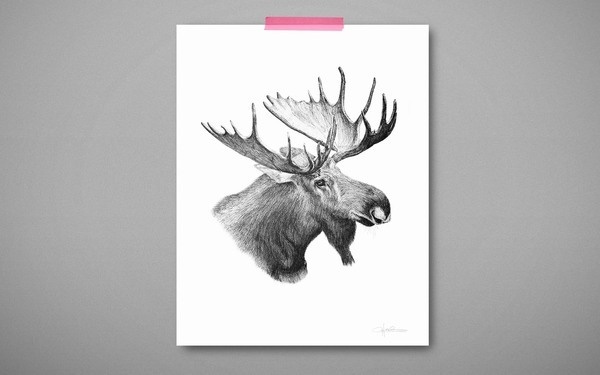 The Applemoose by Cecilia Hedin #antler #white #black #illustration #hedin #moose #and #cecilia #animal