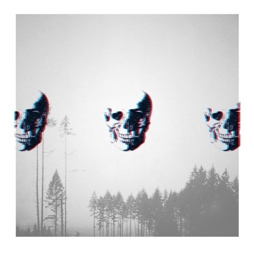 RichieSwims #skull