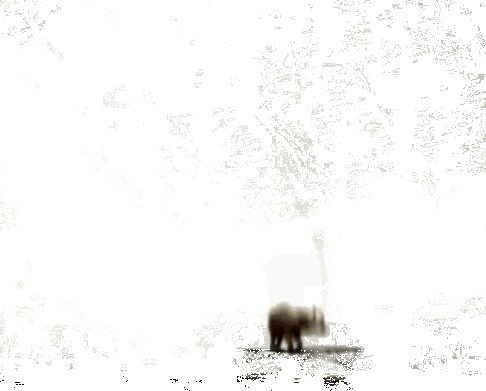 /. M #elephant
