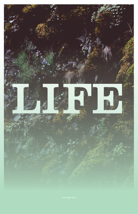 #poster #oregon #forest #typography #life #gradient