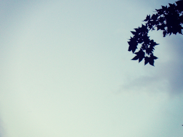#photography