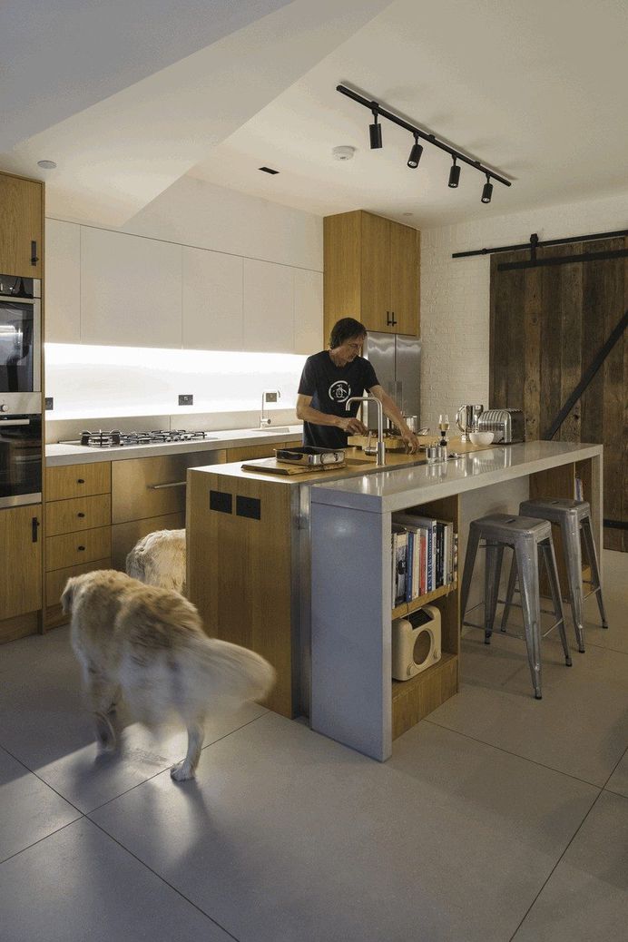Black Ridge House, Waltham Forest, Neil Dusheiko Architects 13