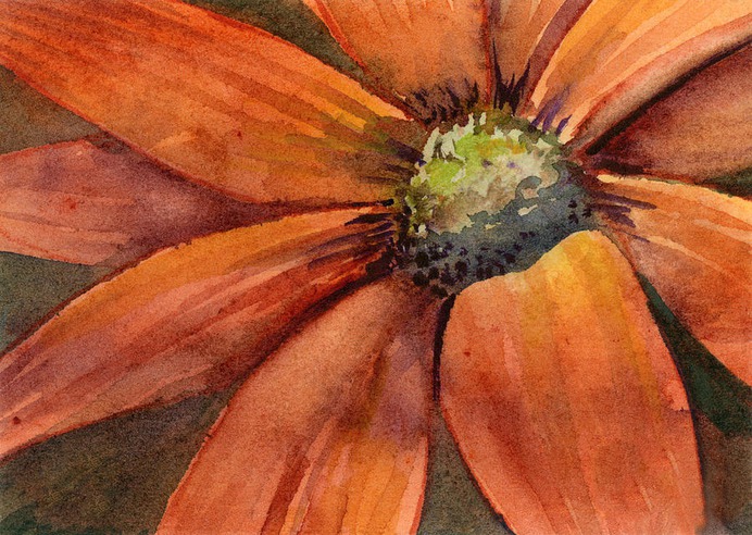 daisy painting & daisy paint by number #painting