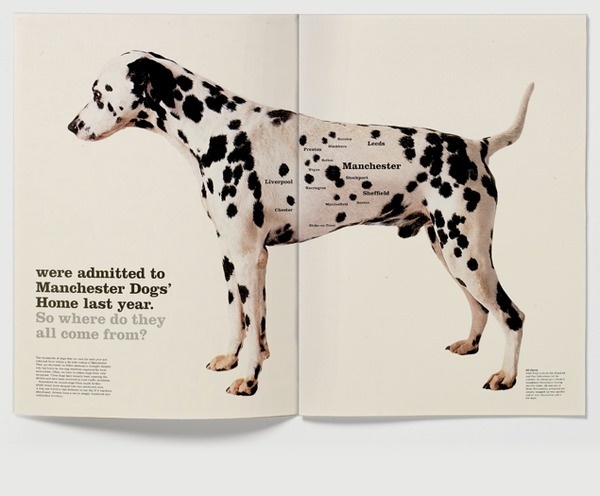 6,796 Dogs The Chase #chase #dogs #796