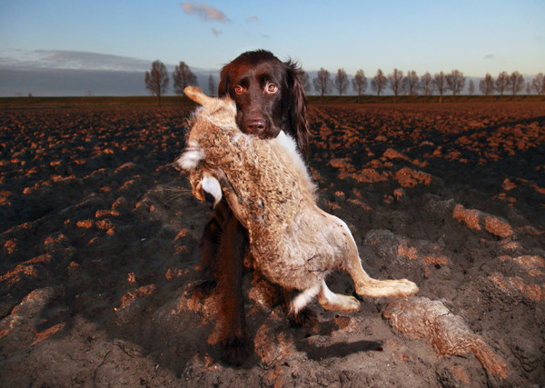 Isabella Rozendaal #inspiration #photography #documentary