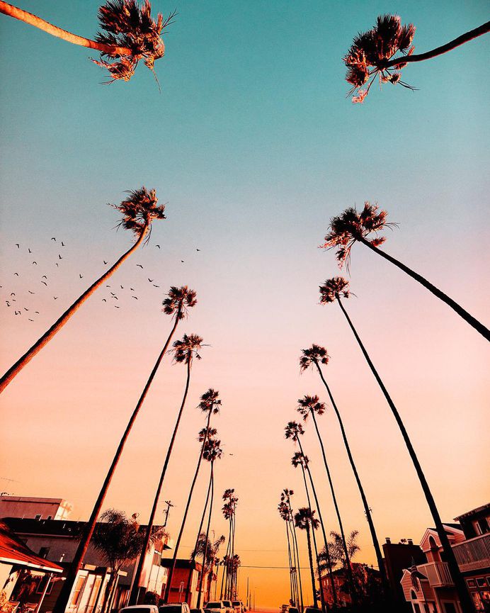 Brilliant Landscapes of California by Ryan Longnecker