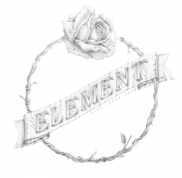 R O S E - www.samsilverstone.com #type #illustration