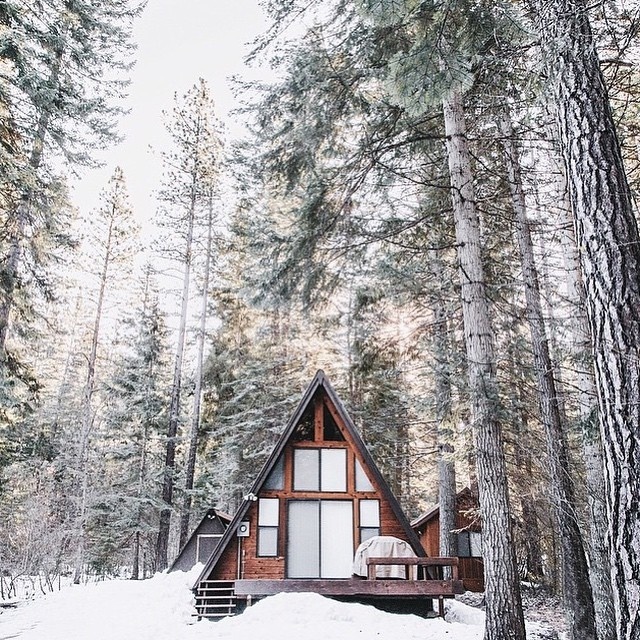 studio in the woods. i will make this one day #build #woods #home #space #landscape #cottage #cabin #forest #trees