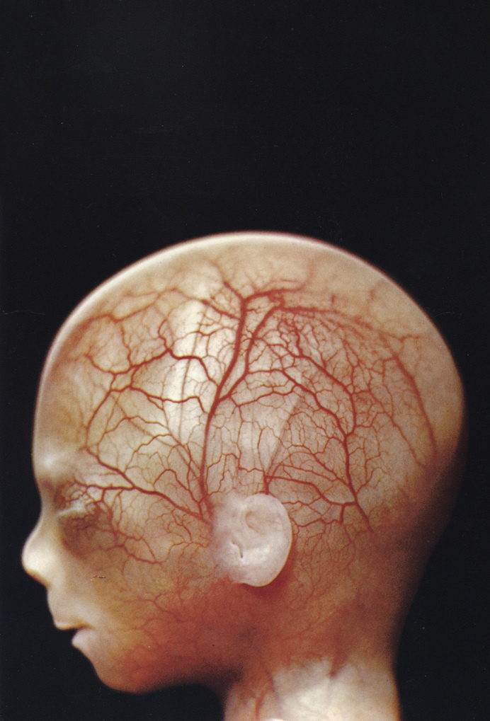 In its shattering effect, birth can only be paralleled by death - but does it float #nature