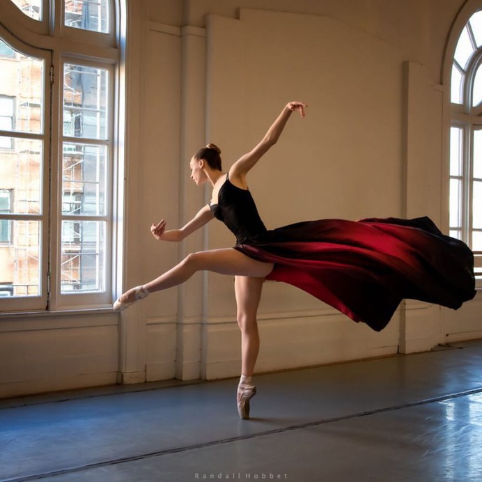 Awesome Portraits of Ballet Dancers by Randall Hobbet