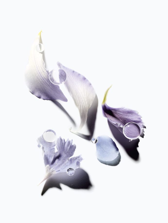 Sébastien Coindre | DIOR LIFE