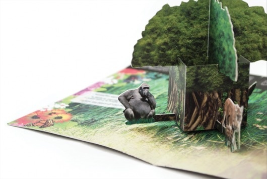 Rainforest Pop-Up Mailer on the Behance Network #pop #rainforest #behance #up #network #mailer