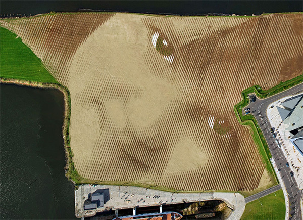 A Monumental 11 Acre Portrait in Belfast by Jorge Rodríguez Gerada #land #portrait #art #landscape
