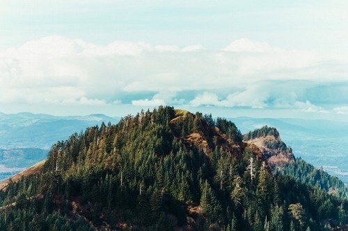 Likes | Tumblr