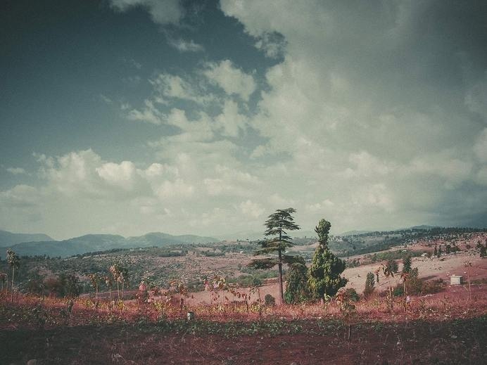 Valley #limited #edition #pink #print #landscape #valley #mountains