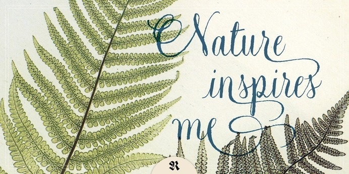 Natura - Webfont & Desktop font « MyFonts #calligraphy #script #writing #nature #handwritten #type