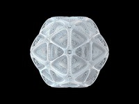 sMESHed Spheres