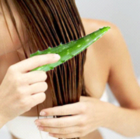 Aloe Vera Gel For Hair Growth