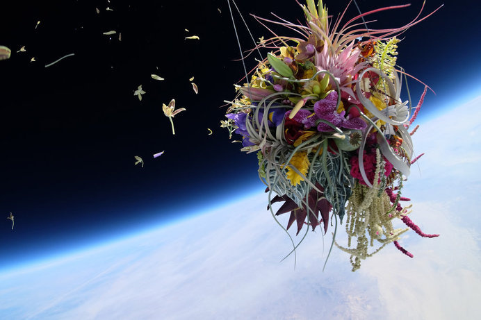 A Japanese Artist Launches Plants Into Space #clouds #space #flowers