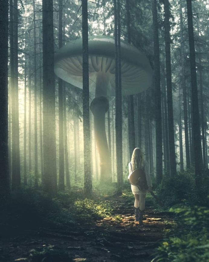 Whimsical and Dreamlike Photo Manipulations by Anttoni Salminen