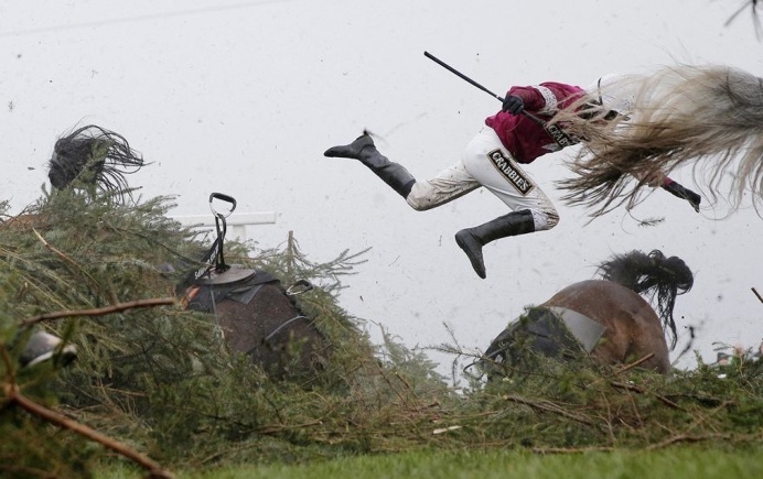 Sports, First Prize, Singles - Grand National Steeplechase by Tom Jenkins