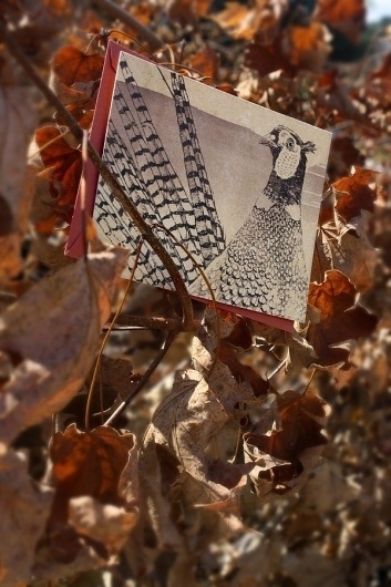 Snail's Pace Pheasant Illustration - Note Card #pace #snais #stationery #paper #pheasant