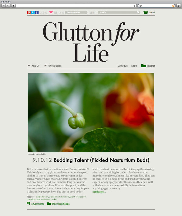 Studiolin_gfl_website3 1200 xxx #website #web #editorial #blog