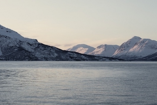 Jakob Nylund / #photography