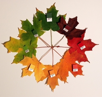Pantone.jpg 430×409 píxeis #pantone
