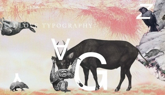 I Love Typography | collage illustration about the history of the alphabet #typography