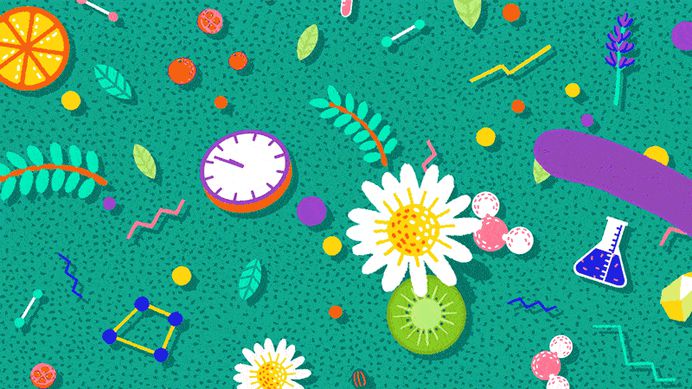 Lush Christmas 2017 Illustrations - Mindsparkle Mag #illustration #motion
