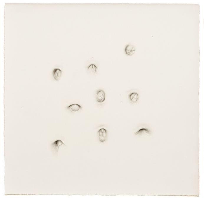 "Untitled ( Bellybuttons)" pencil, colored pencil on paper, 15" x 15", 2014