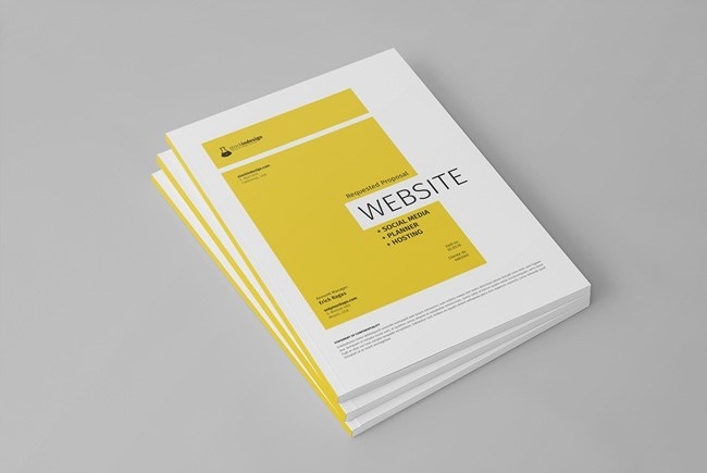 Free Website Design Project Proposal (InDesign)