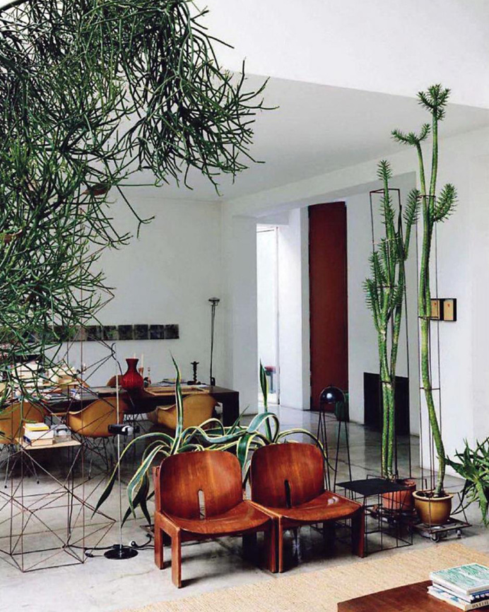 The "Cactus Temple," aka designer Maurizio Zucchi's home
