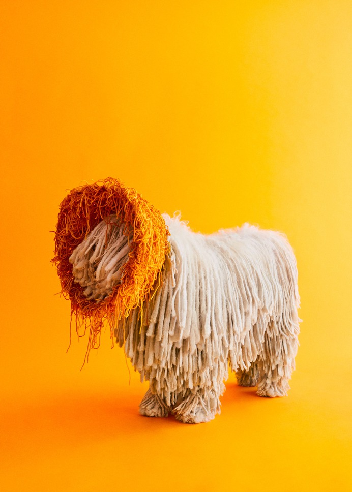 Photographer Winnie Au Captures the Unique Personalities of Dogs Adorned in Sculptural 'Cones of Shame' | Colossal