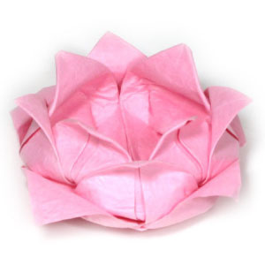 How to make a traditional origami lotus flower (http://www.origami-flower.org/howto-origami-lotus.php)