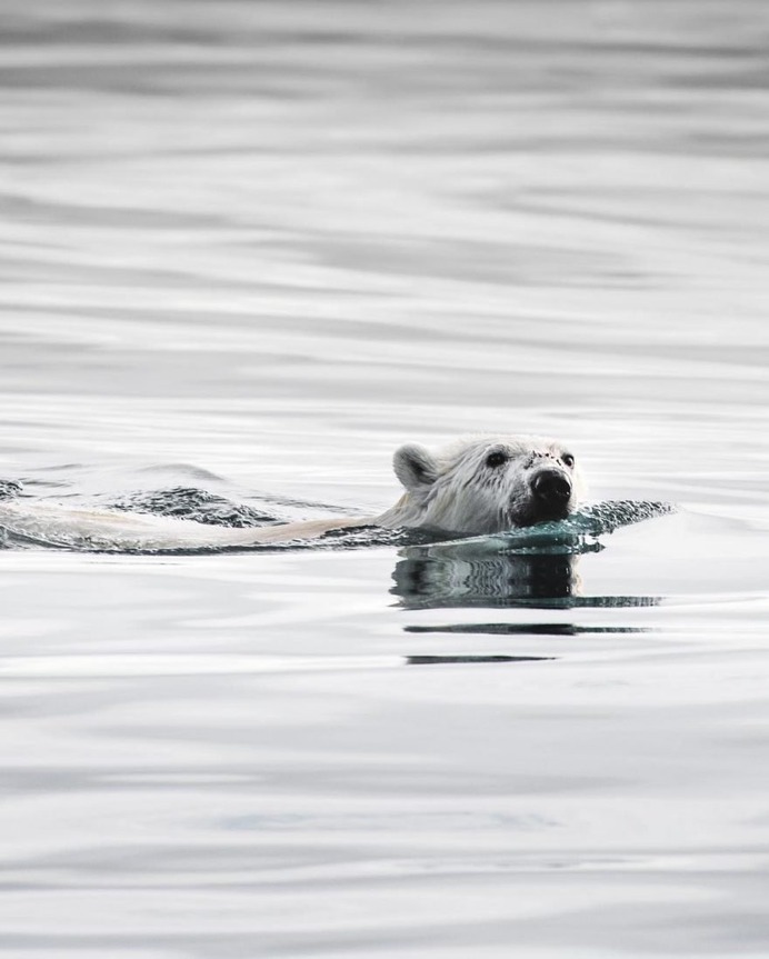 The Silent Arctic Photographic Expedition in Greenland by Joe Shutter