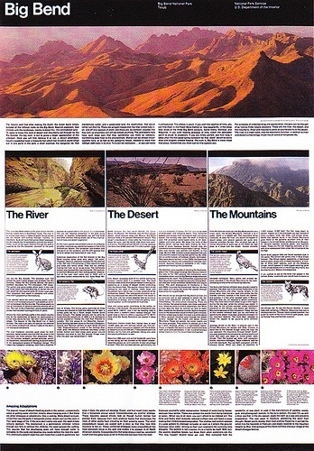 All sizes | NPS Big Bend Brochure | Flickr - Photo Sharing! #massimo #vignelli #print #design #graphic #illustration #unigrid #brochure